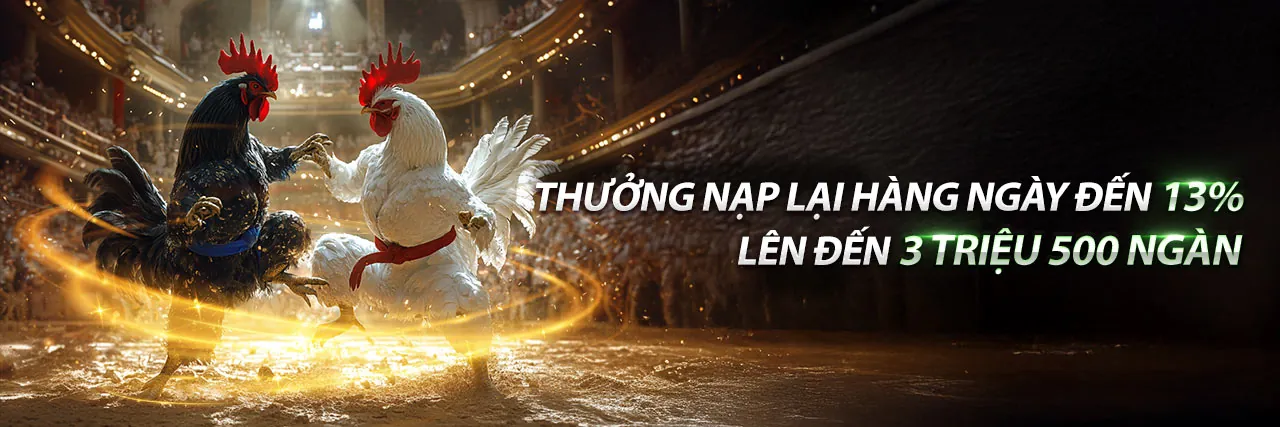 Sân chơi đá gà p888 game đỉnh cao