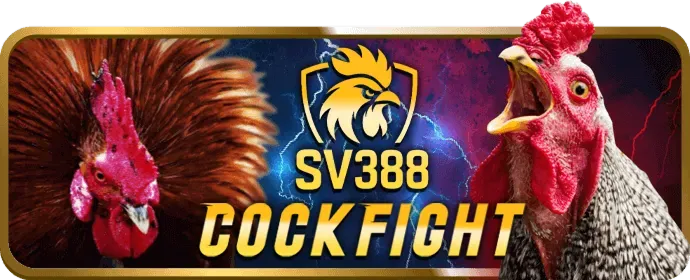 Các chương trình khuyến mãi và tiền thưởng tại p888 game